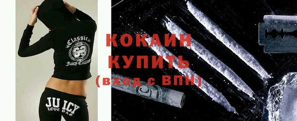 прущие грибы Беломорск