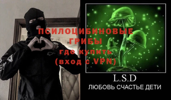 прущие грибы Беломорск