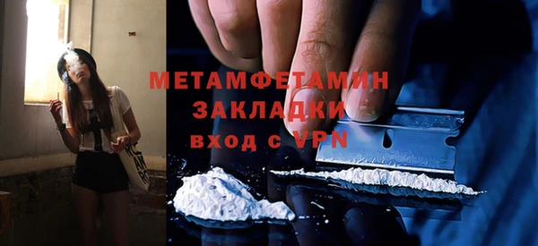 прущие грибы Беломорск