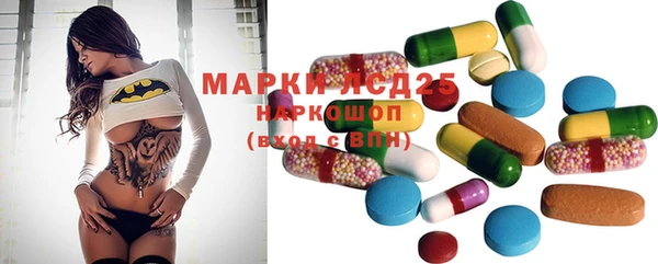 прущие грибы Беломорск