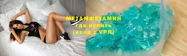 прущие грибы Беломорск