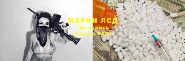 прущие грибы Беломорск