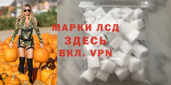 прущие грибы Беломорск