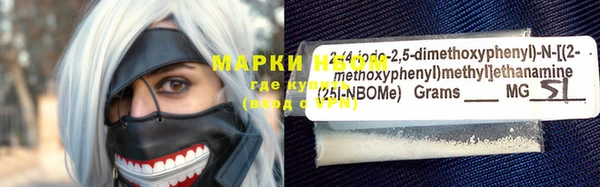 прущие грибы Беломорск