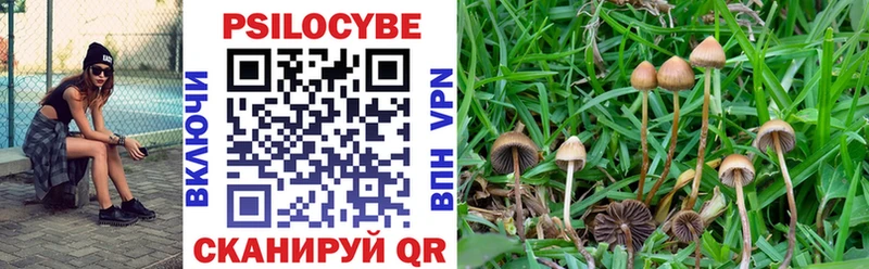 Галлюциногенные грибы GOLDEN TEACHER  как найти   Озёры 